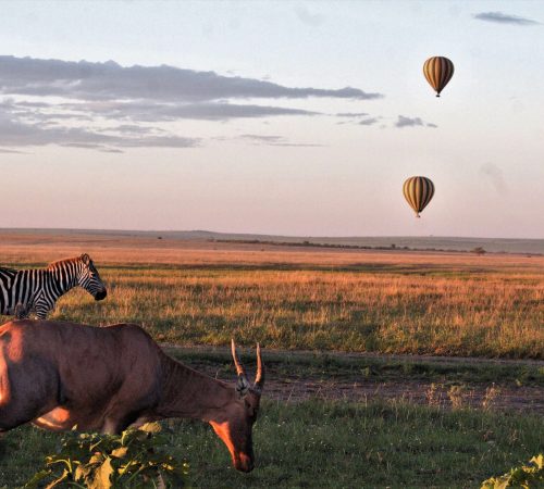 Hot-air-Balloon-ride